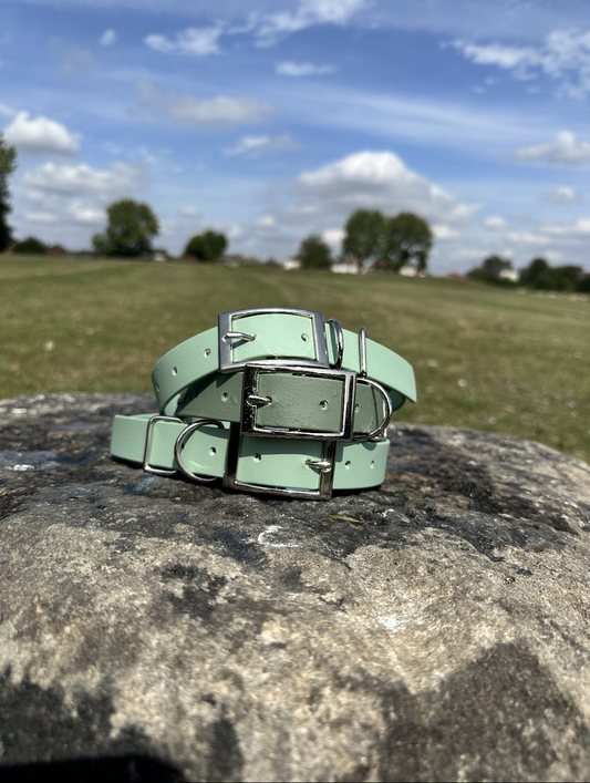 Waterproof BioThane® Collar