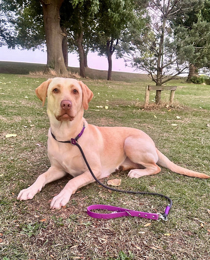 Black Premium Rope Slip Lead with BioThane® Handle