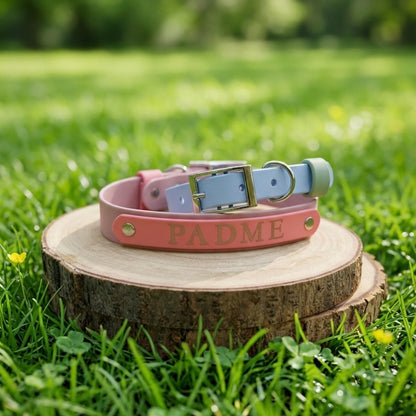 Signature Colour POP! Collar - Personalised Biothane Collar