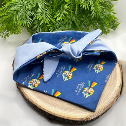 Star Wars Millennium Falcon - Bow & Bandana Bundle