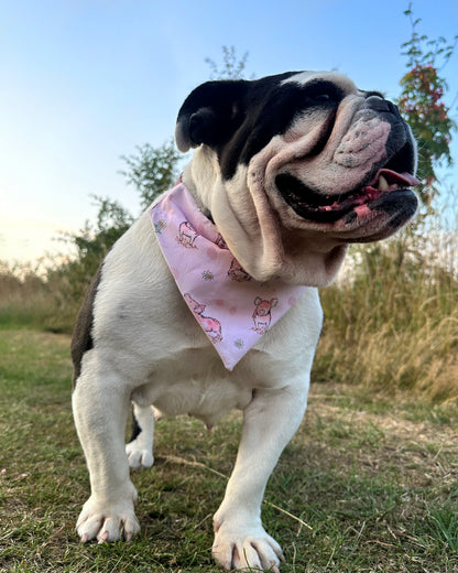 Pretty In Pigs - Bandana