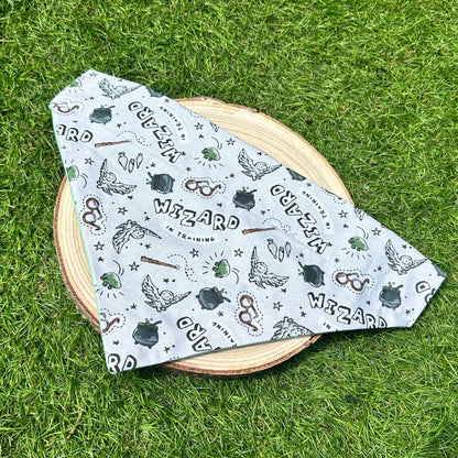 You’re Wizard - Harry Potter - Bandana