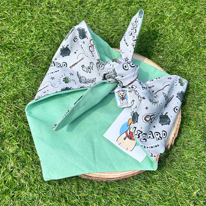 You’re Wizard - Harry Potter - Bandana