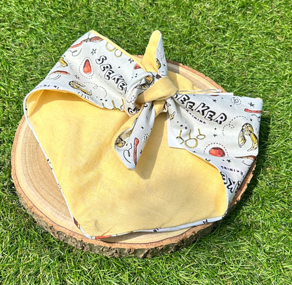 Seeker - Harry Potter - Bandana