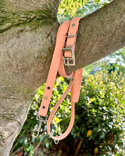 Waterproof BioThane® Collar and Lead Set - Single Colour
