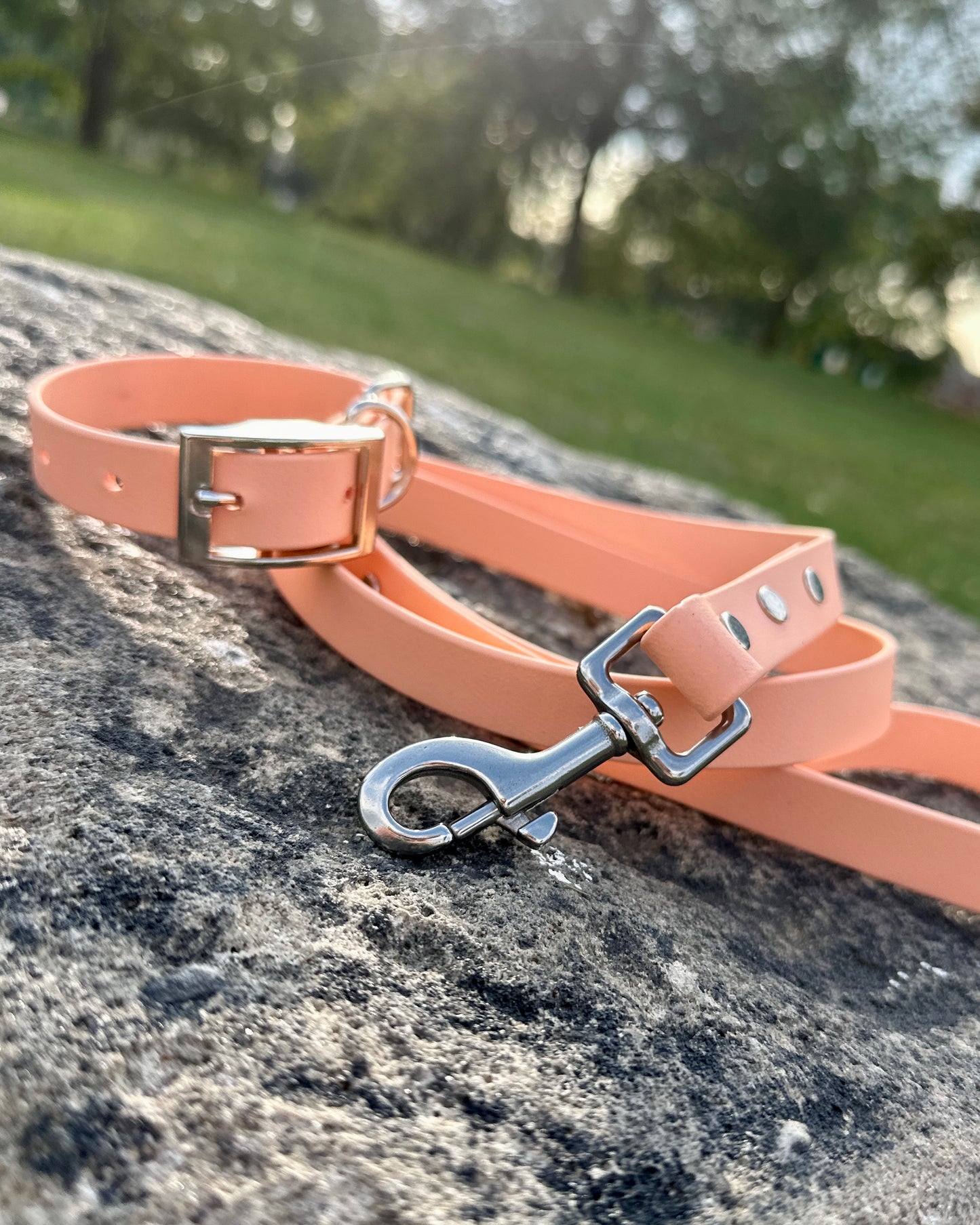Waterproof BioThane® Collar and Lead Set