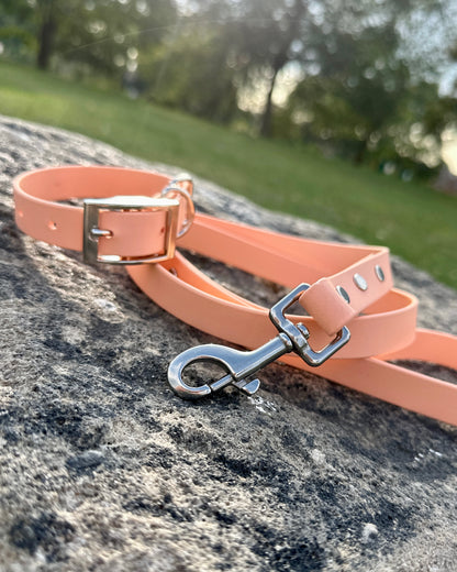 Waterproof BioThane® Collar and Lead Set - Single Colour