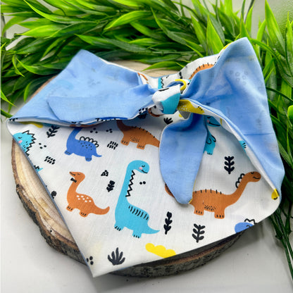 White Dinosaurs  - Bandana