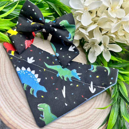 Dinosaur Parade - Bow & Bandana Bundle