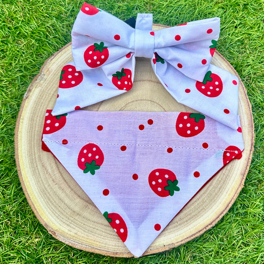 Strawberry - Bow & Bandana Bundle