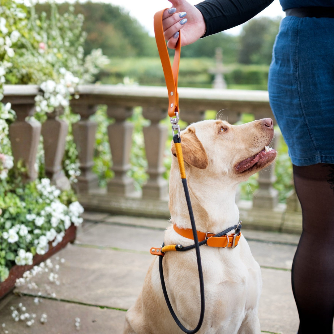 Black Premium Rope Slip Lead with BioThane® Handle