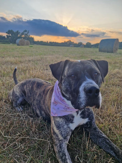 Pretty In Pigs - Bandana