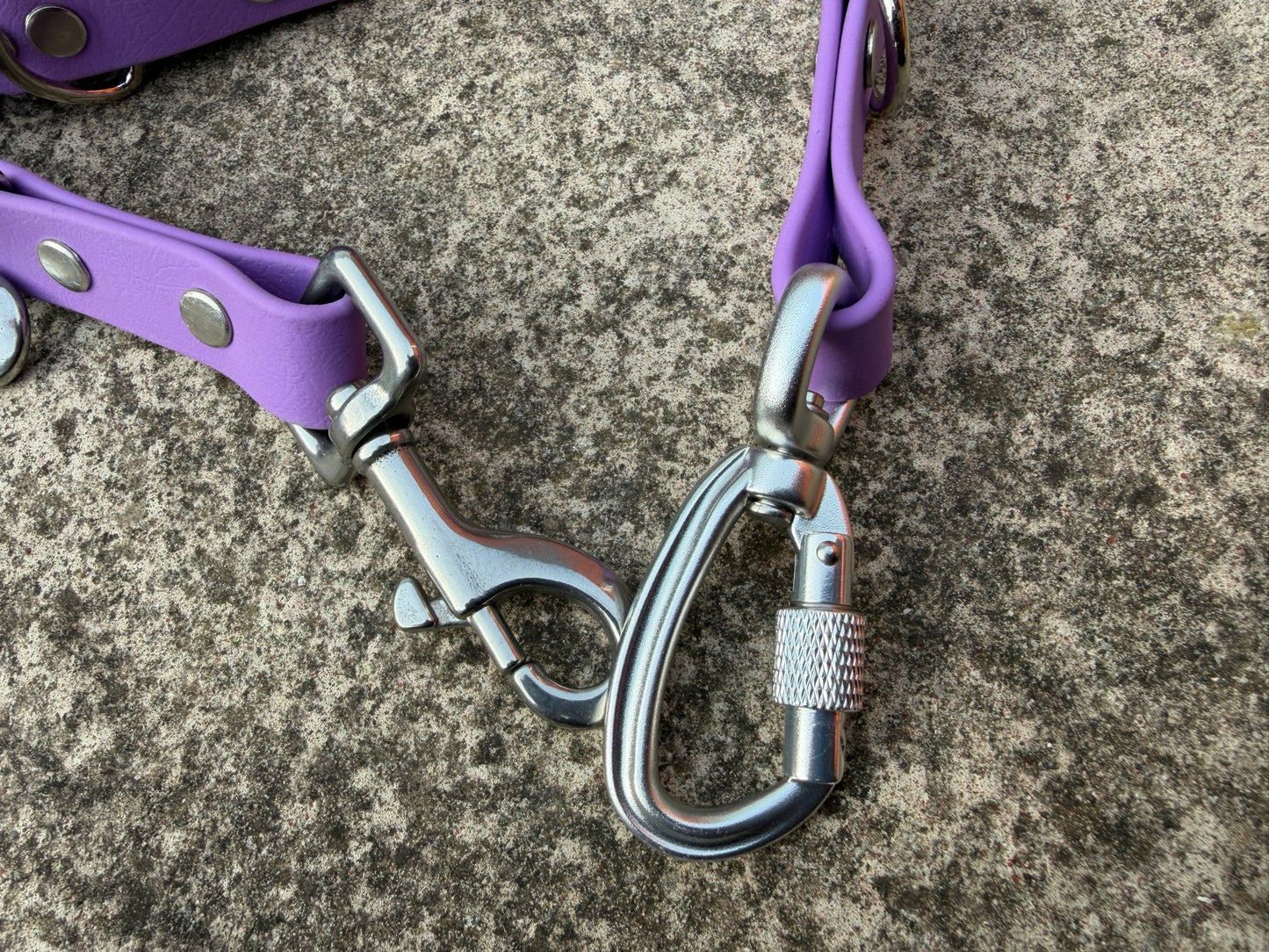 Hands-Free, Mutli-Way Waterproof BioThane® 2.5m Lead