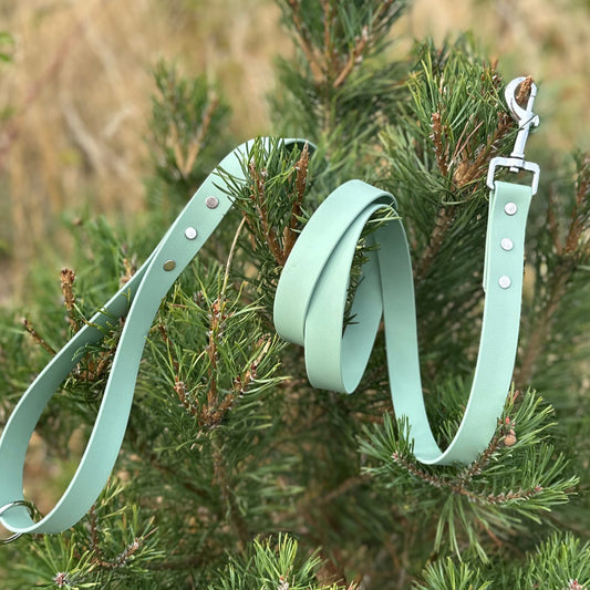 Waterproof BioThane® Dog Lead