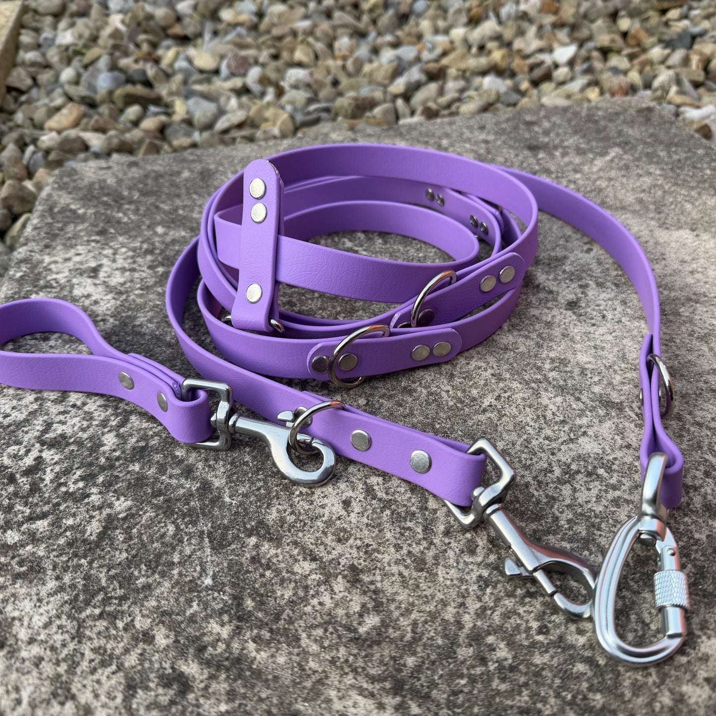 Hands-Free, Mutli-Way Waterproof BioThane® 2.5m Lead