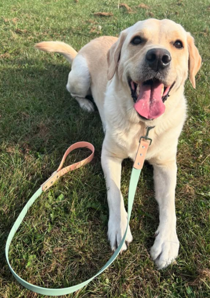 Waterproof BioThane® Collar and Lead Set - Dual Toned