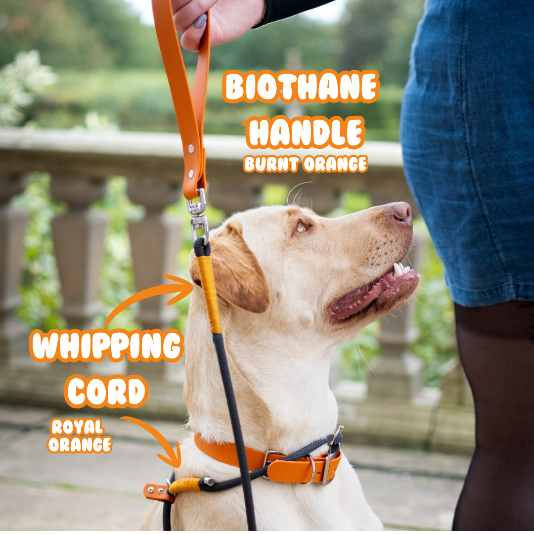 Black Premium Rope Slip Lead with BioThane® Handle